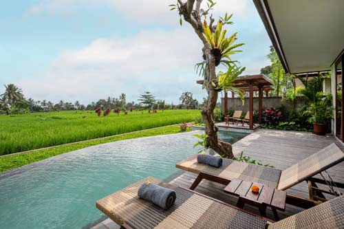 Lagoon View Suite 1
