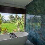 Premier Room